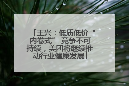 王兴：低质低价“内卷式” 竞争不可持续，美团将继续推动行业健康发展