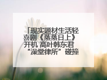 现实题材生活轻喜剧《蒸蒸日上》开机 高叶韩东君“澡堂律所”碰撞烟火气