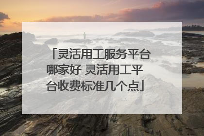 灵活用工服务平台哪家好 灵活用工平台收费标准几个点