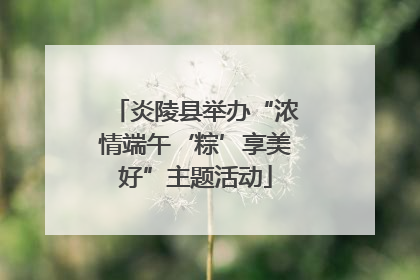 炎陵县举办“浓情端午‘粽’享美好”主题活动
