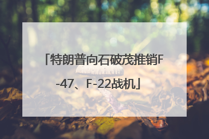 特朗普向石破茂推销F-47、F-22战机