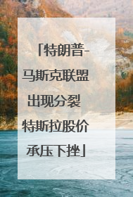 特朗普-马斯克联盟出现分裂 特斯拉股价承压下挫