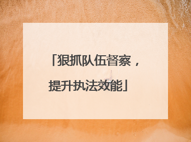 狠抓队伍督察，提升执法效能