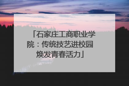 石家庄工商职业学院：传统技艺进校园焕发青春活力