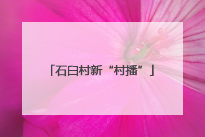 石臼村新“村播”