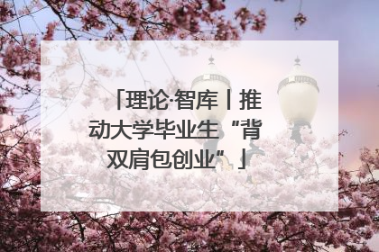 理论·智库丨推动大学毕业生“背双肩包创业”