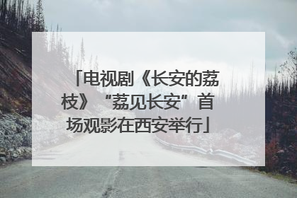 电视剧《长安的荔枝》“荔见长安”首场观影在西安举行