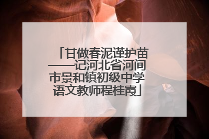 甘做春泥谨护苗——记河北省河间市景和镇初级中学语文教师程桂霞