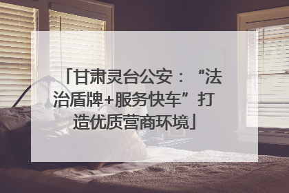 甘肃灵台公安：“法治盾牌+服务快车”打造优质营商环境