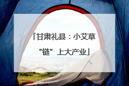 甘肃礼县：小艾草“链”上大产业