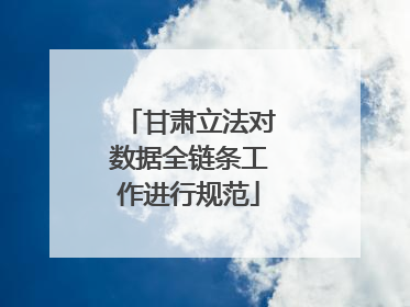 甘肃立法对数据全链条工作进行规范