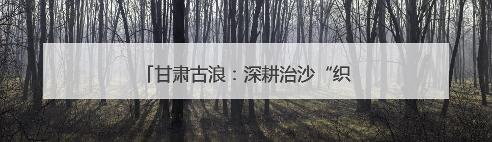 甘肃古浪：深耕治沙“织绿” 筑牢生态安全屏障