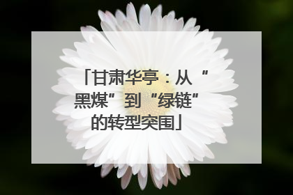 甘肃华亭：从“黑煤”到“绿链”的转型突围