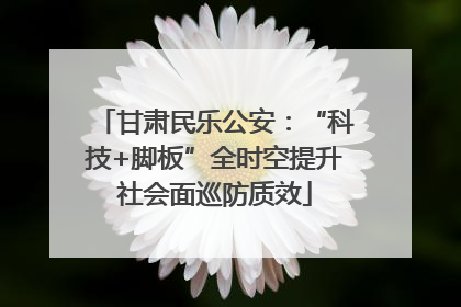 甘肃民乐公安：“科技+脚板”全时空提升社会面巡防质效