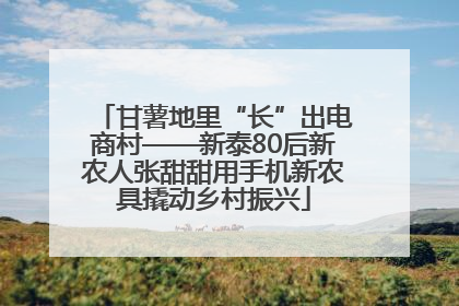 甘薯地里“长”出电商村——新泰80后新农人张甜甜用手机新农具撬动乡村振兴