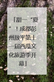 甜一“夏”！成都彭州敖平第十一届西瓜文化旅游季开幕