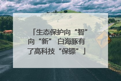 生态保护向“智”向“新” 白海豚有了高科技“保镖”