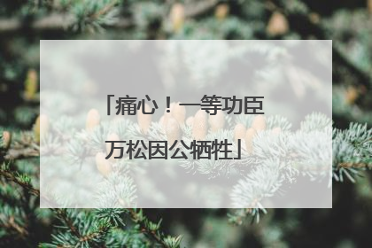 痛心！一等功臣万松因公牺牲