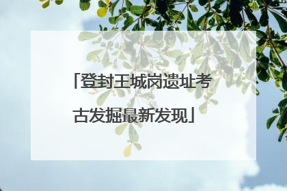 登封王城岗遗址考古发掘最新发现