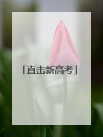 直击新高考