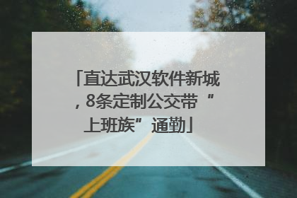 直达武汉软件新城，8条定制公交带“上班族”通勤