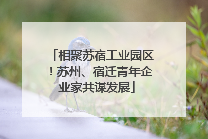 相聚苏宿工业园区！苏州、宿迁青年企业家共谋发展