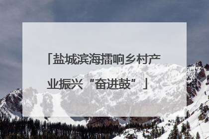盐城滨海擂响乡村产业振兴“奋进鼓”