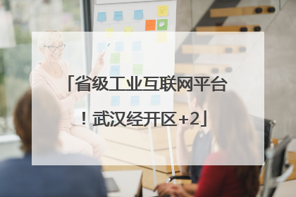省级工业互联网平台！武汉经开区+2