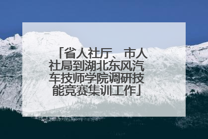 省人社厅、市人社局到湖北东风汽车技师学院调研技能竞赛集训工作
