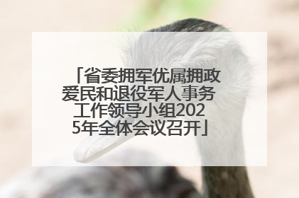 省委拥军优属拥政爱民和退役军人事务工作领导小组2025年全体会议召开