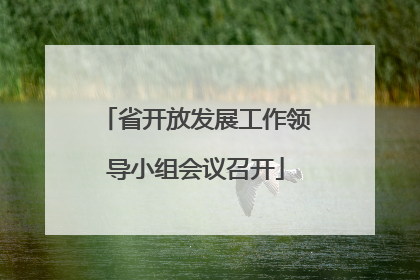 省开放发展工作领导小组会议召开