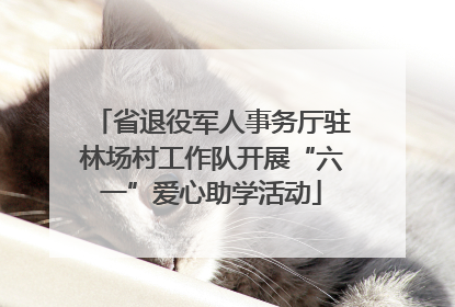 省退役军人事务厅驻林场村工作队开展“六一”爱心助学活动