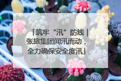筑牢“汛”防线｜张旅集团闻汛而动，全力确保安全度汛