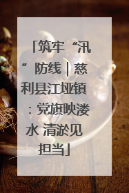 筑牢“汛”防线｜慈利县江垭镇：党旗映溇水 清淤见担当