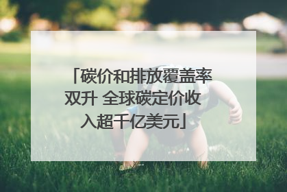 碳价和排放覆盖率双升 全球碳定价收入超千亿美元