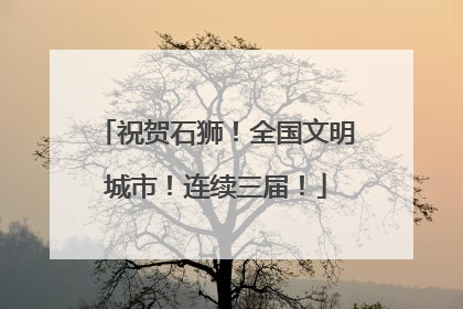 祝贺石狮！全国文明城市！连续三届！
