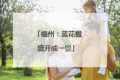 福州：蓝花楹盛开成一景