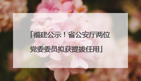 福建公示！省公安厅两位党委委员拟获提拔任用