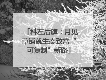 科左后旗：月见草铺就生态致富“可复制”新路