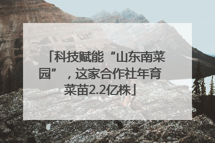 科技赋能“山东南菜园”，这家合作社年育菜苗2.2亿株