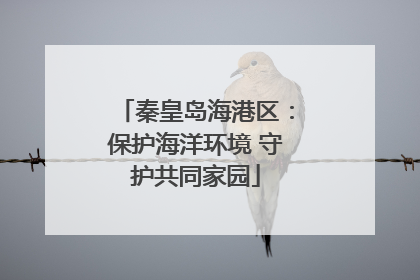 秦皇岛海港区：保护海洋环境 守护共同家园