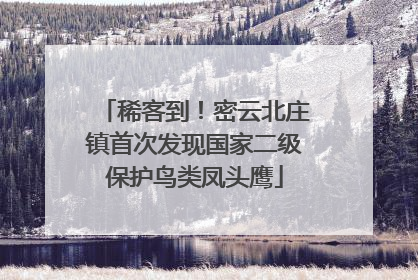 稀客到！密云北庄镇首次发现国家二级保护鸟类凤头鹰