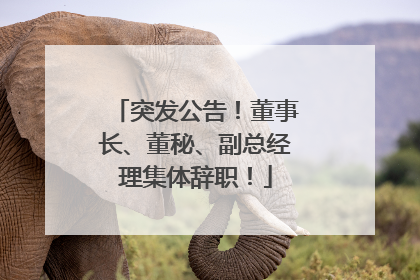 突发公告！董事长、董秘、副总经理集体辞职！