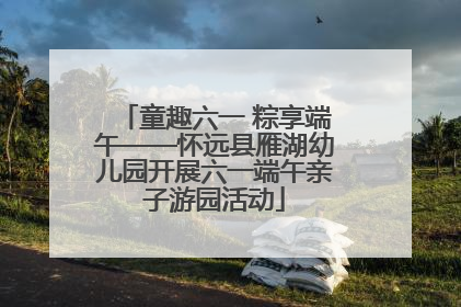 童趣六一 粽享端午——怀远县雁湖幼儿园开展六一端午亲子游园活动