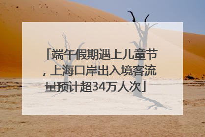 端午假期遇上儿童节，上海口岸出入境客流量预计超34万人次