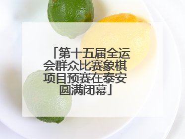 第十五届全运会群众比赛象棋项目预赛在泰安圆满闭幕