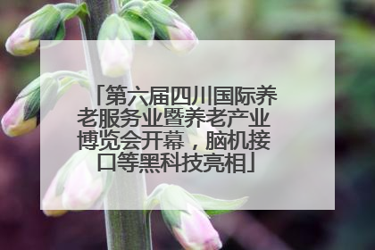 第六届四川国际养老服务业暨养老产业博览会开幕，脑机接口等黑科技亮相