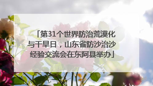 第31个世界防治荒漠化与干旱日，山东省防沙治沙经验交流会在东阿县举办