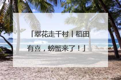 翠花走千村丨稻田有喜，螃蟹来了！