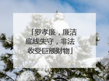 罗孝廉，廉洁底线失守，非法收受巨额财物